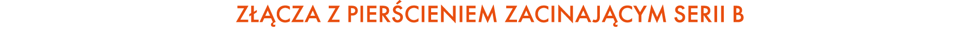 Z CZA Z PIER CIENIEM ZACINAJ CYM SERII B
