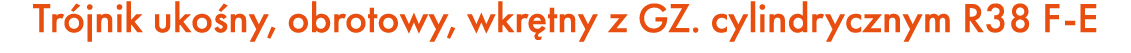 Tr jnik uko ny, obrotowy, wkr tny z GZ. cylindrycznym R38 F E