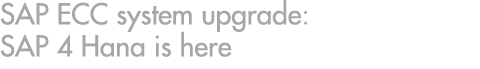 SAP ECC system upgrade: SAP 4 Hana is here
