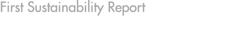 First Sustainability Report